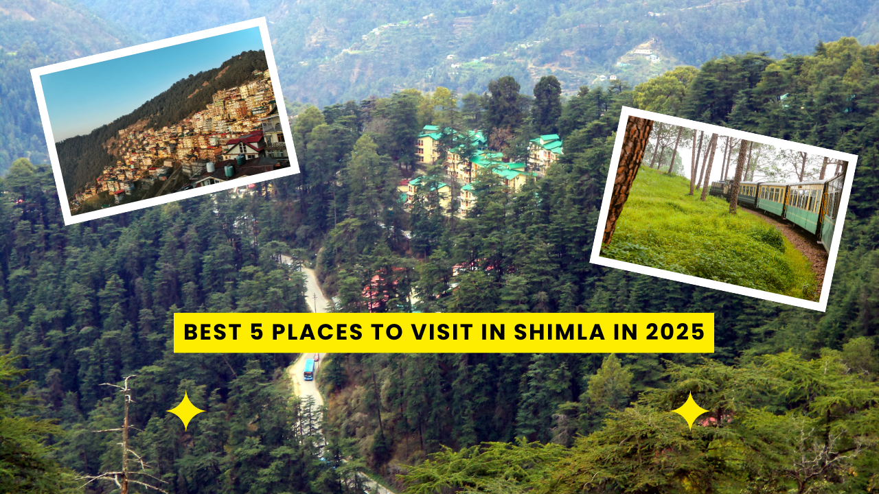 Best 5 Places to Visit in Shimla in 2025